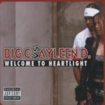 Big C.Vs.Ayleen d. - Welcome to Heartlight Single, Maxi